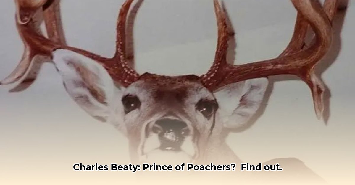charles-beaty-net-worth